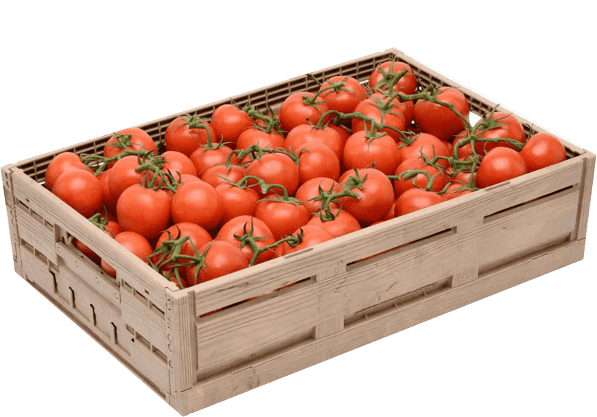 Abbonamento - Pomodori senza Nichel